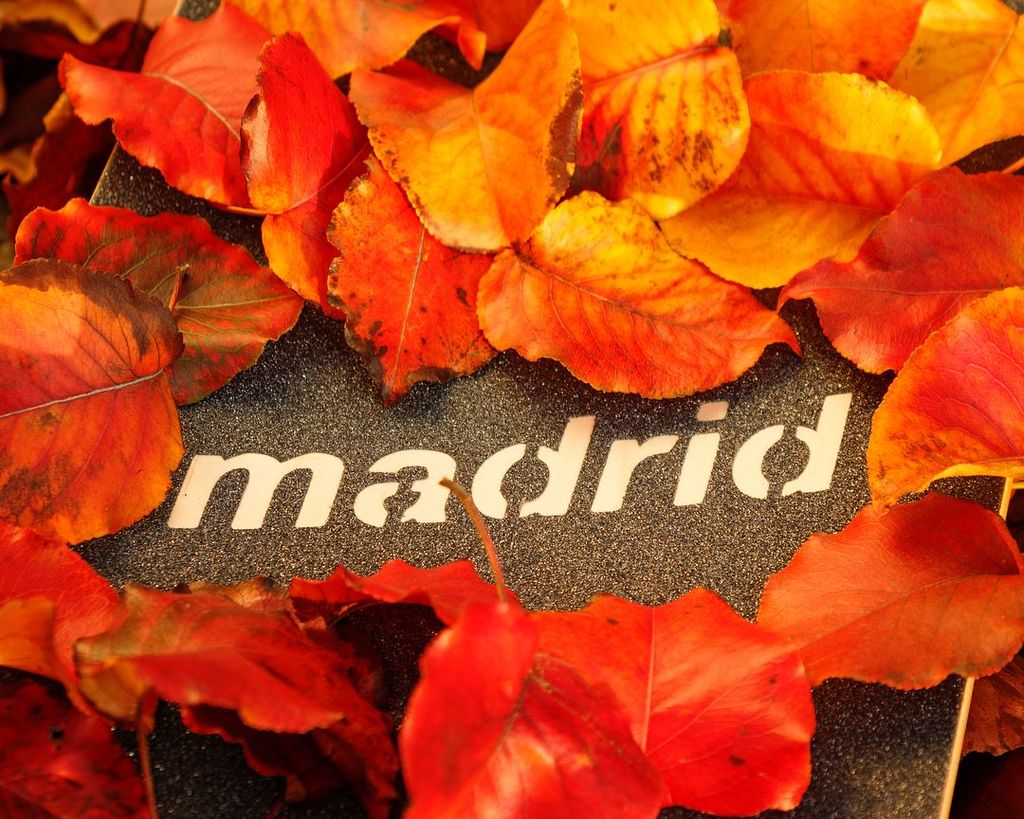 MADRID DREAM 39" INCA